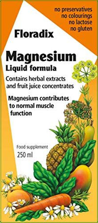 Salus-Haus - Floradix Magnesium Liquid - 8.5 Oz